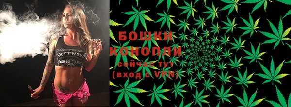 ПСИЛОЦИБИНОВЫЕ ГРИБЫ Балабаново