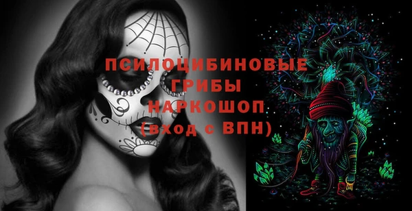 ПСИЛОЦИБИНОВЫЕ ГРИБЫ Балабаново