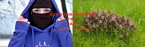 ПСИЛОЦИБИНОВЫЕ ГРИБЫ Балабаново