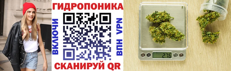 Каннабис семена  Лагань 